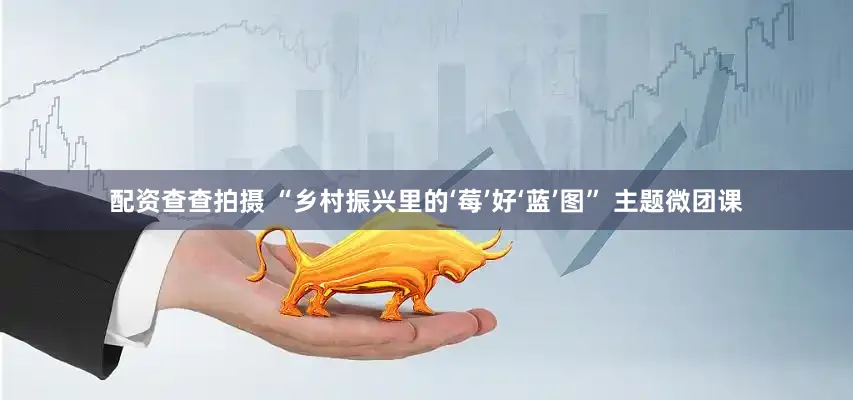 配资查查拍摄 “乡村振兴里的‘莓’好‘蓝’图” 主题微团课