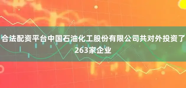 合法配资平台中国石油化工股份有限公司共对外投资了263家企业