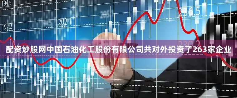 配资炒股网中国石油化工股份有限公司共对外投资了263家企业