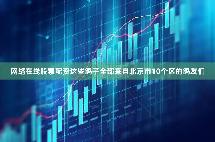 网络在线股票配资这些鸽子全部来自北京市10个区的鸽友们