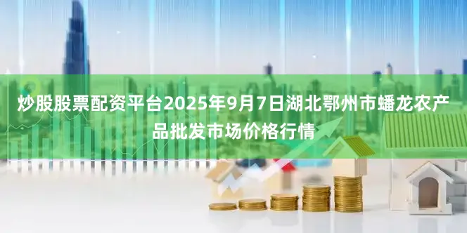炒股股票配资平台2025年9月7日湖北鄂州市蟠龙农产品批发市场价格行情