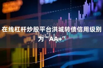 在线杠杆炒股平台洪城转债信用级别为“AA+”